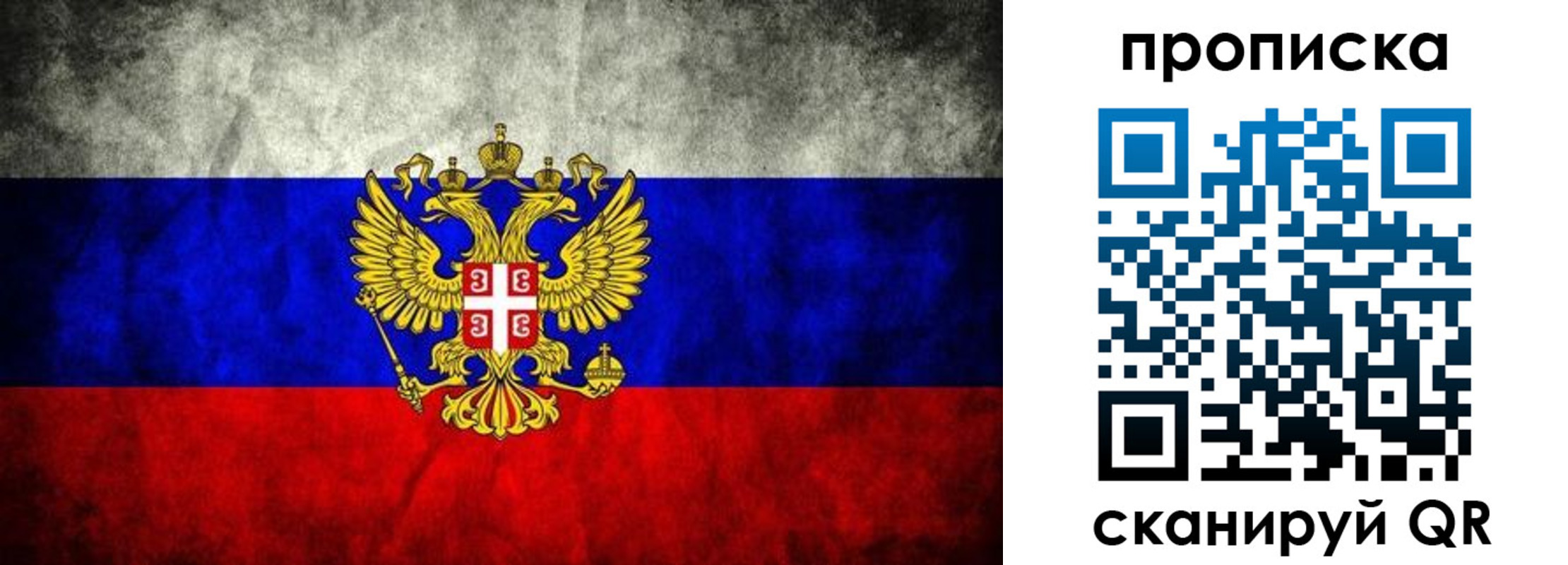 прописка поиск в Людиново